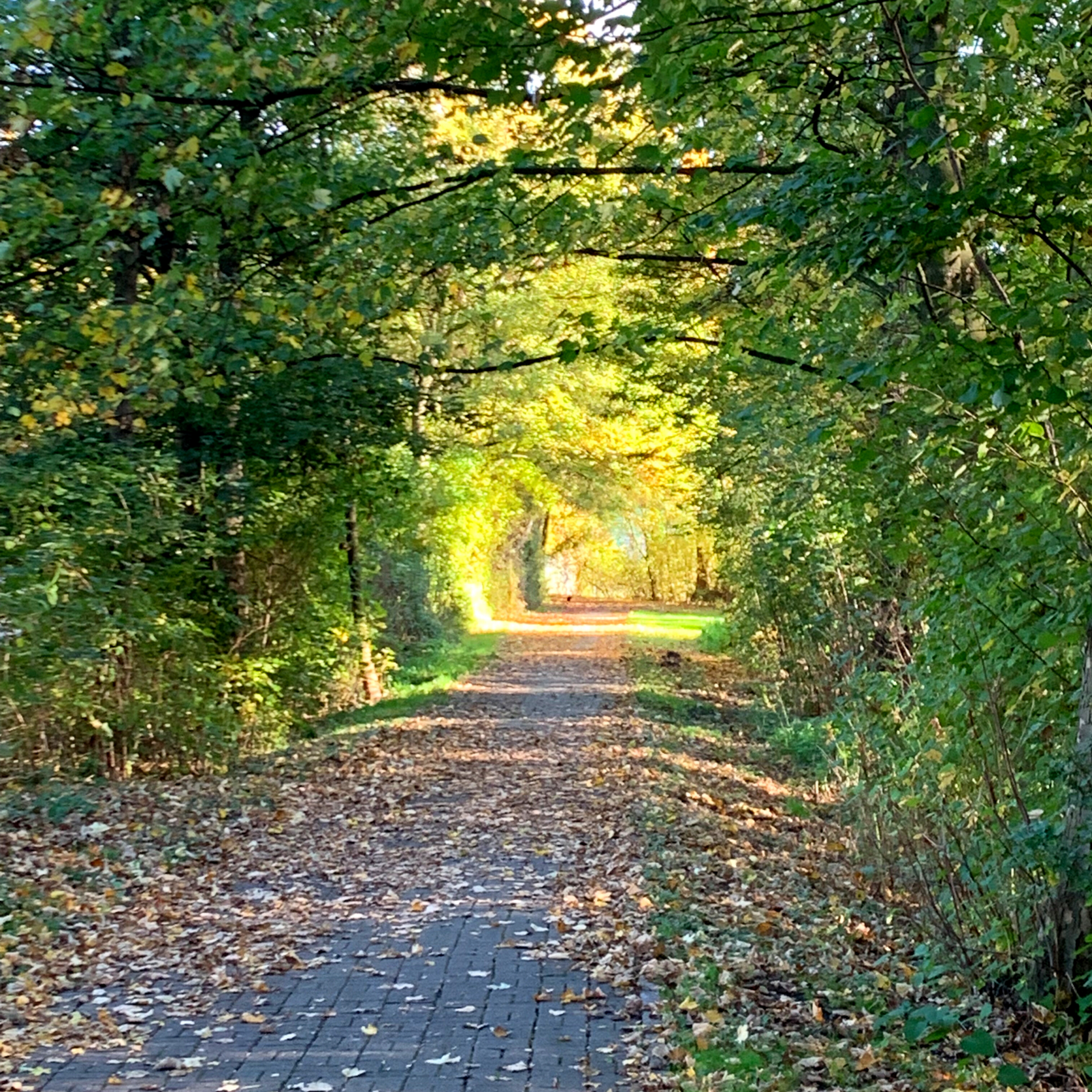 Der Weg
