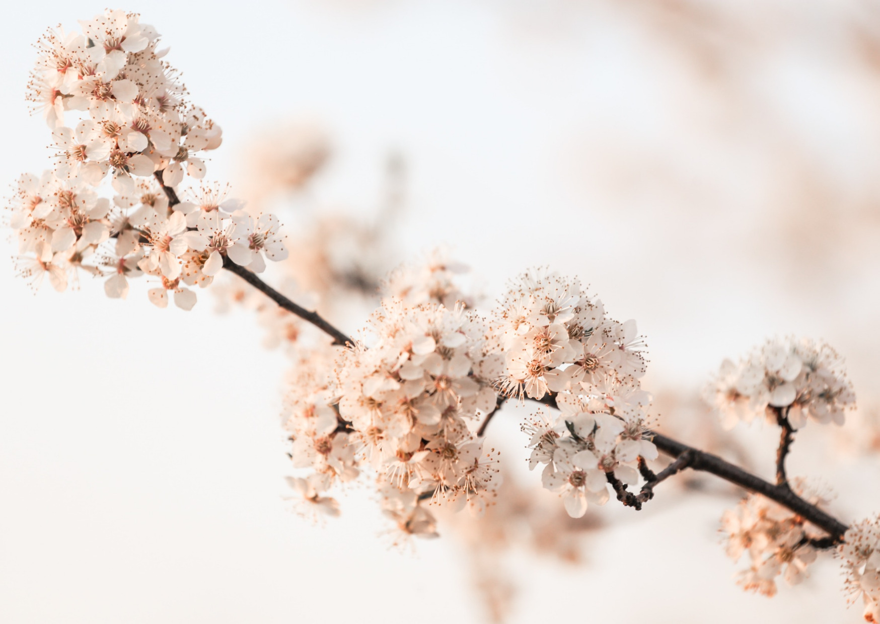 Natur ist meine Inspiration