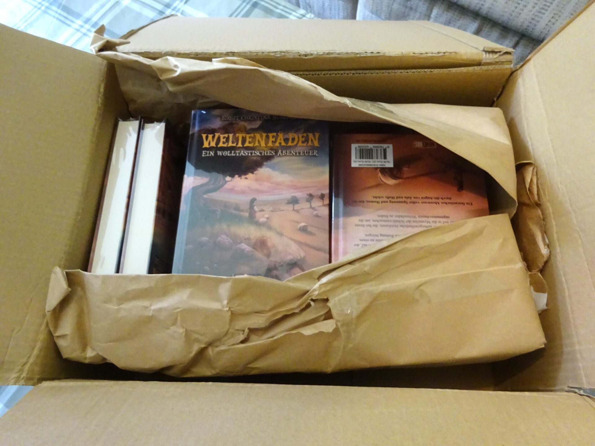 Die frisch gelieferten Exemplare des Buches Weltenfäden in einem Karton.