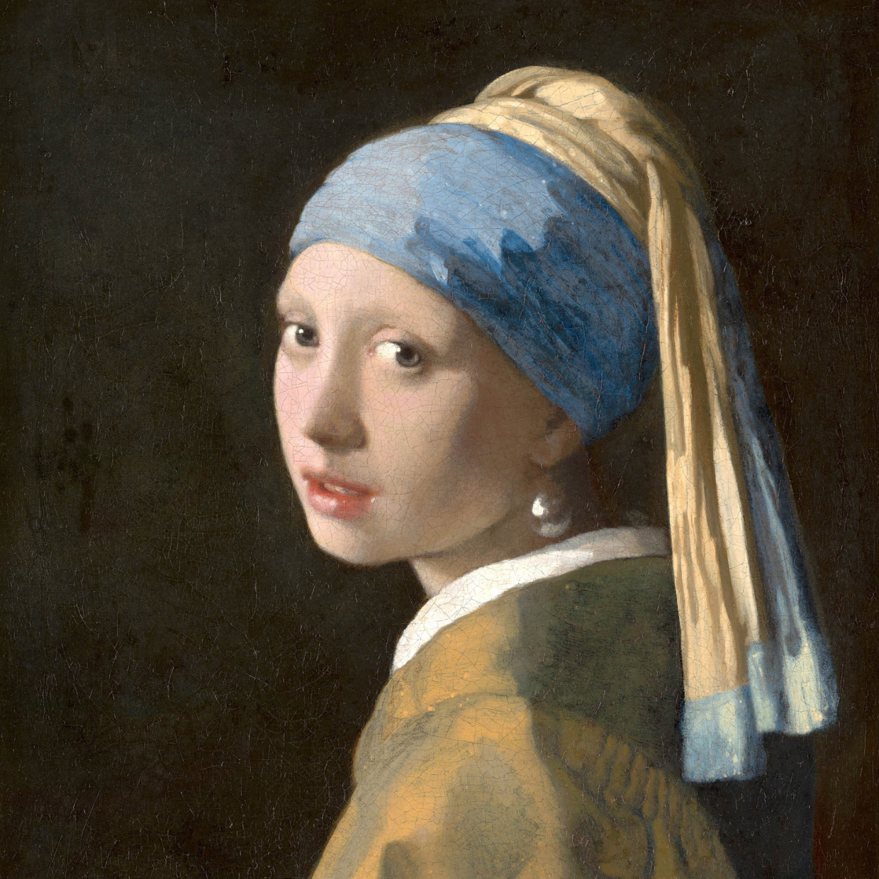 Das Mädchen mit dem Perlenohrring
